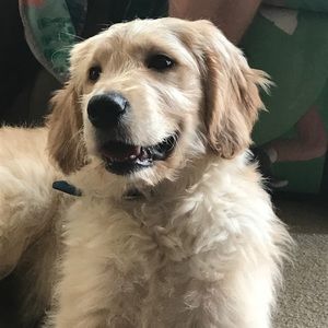 Meet your Posher, Leah